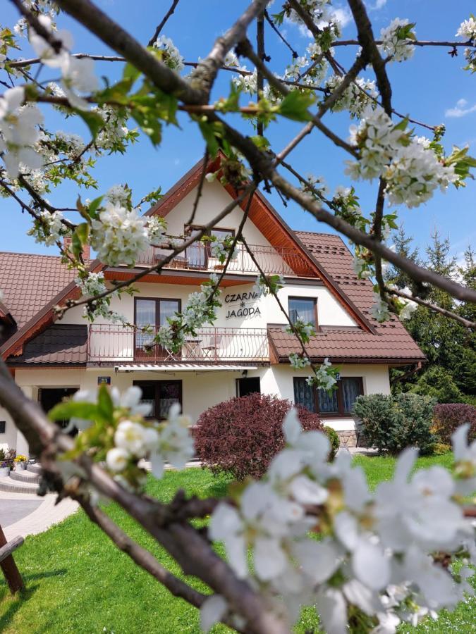 Czarna Jagoda Czarna Góra Exterior foto