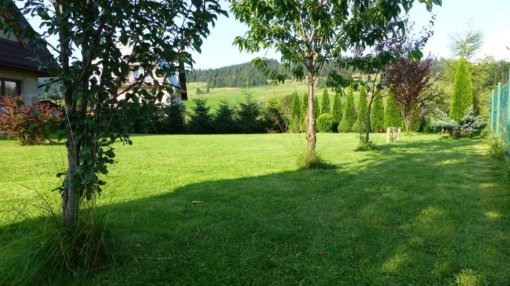 Czarna Jagoda Czarna Góra Exterior foto